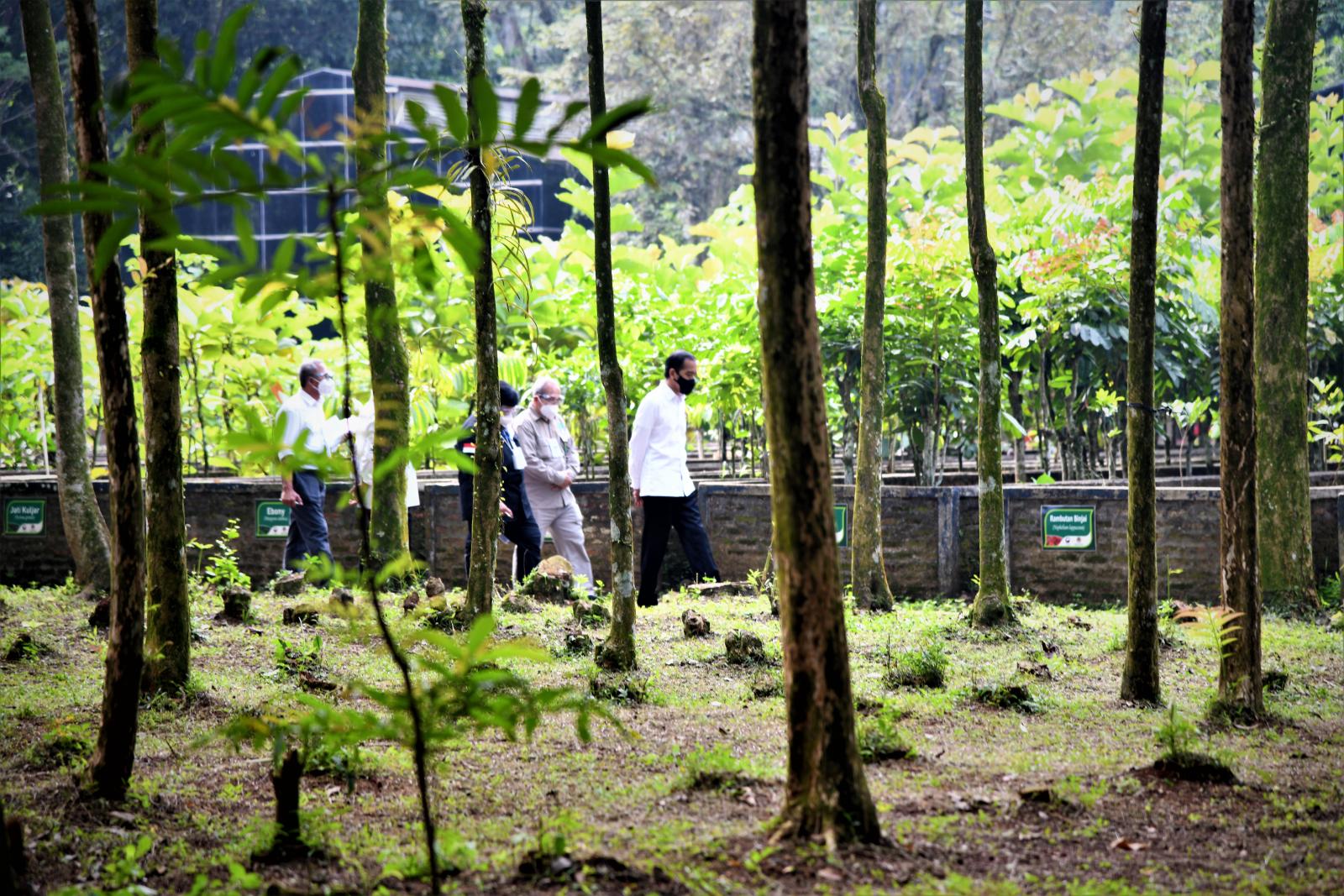Presiden RI Meninjau Calon Lokasi Pusat Perbenihan dan Riset Hutan Tropika Internasional di Rumpin Bogor